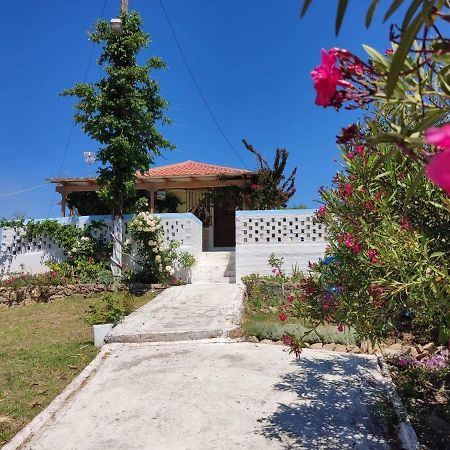 Villa Thea Κάτω Σαμικό Εξωτερικό φωτογραφία