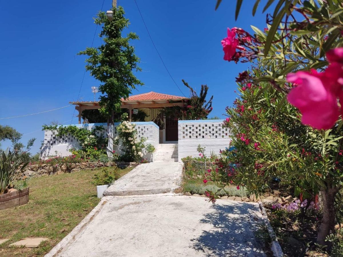 Villa Thea Κάτω Σαμικό Εξωτερικό φωτογραφία