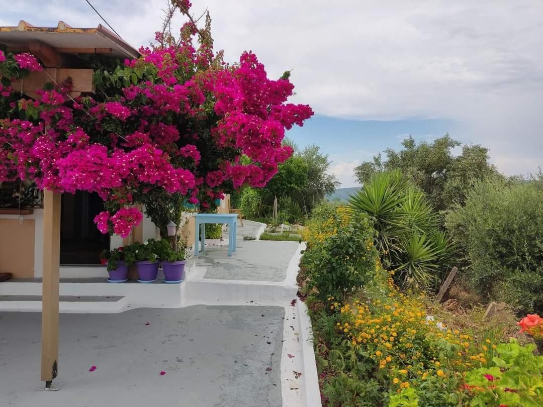 Villa Thea Κάτω Σαμικό Εξωτερικό φωτογραφία