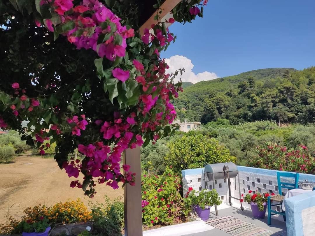 Villa Thea Κάτω Σαμικό Εξωτερικό φωτογραφία