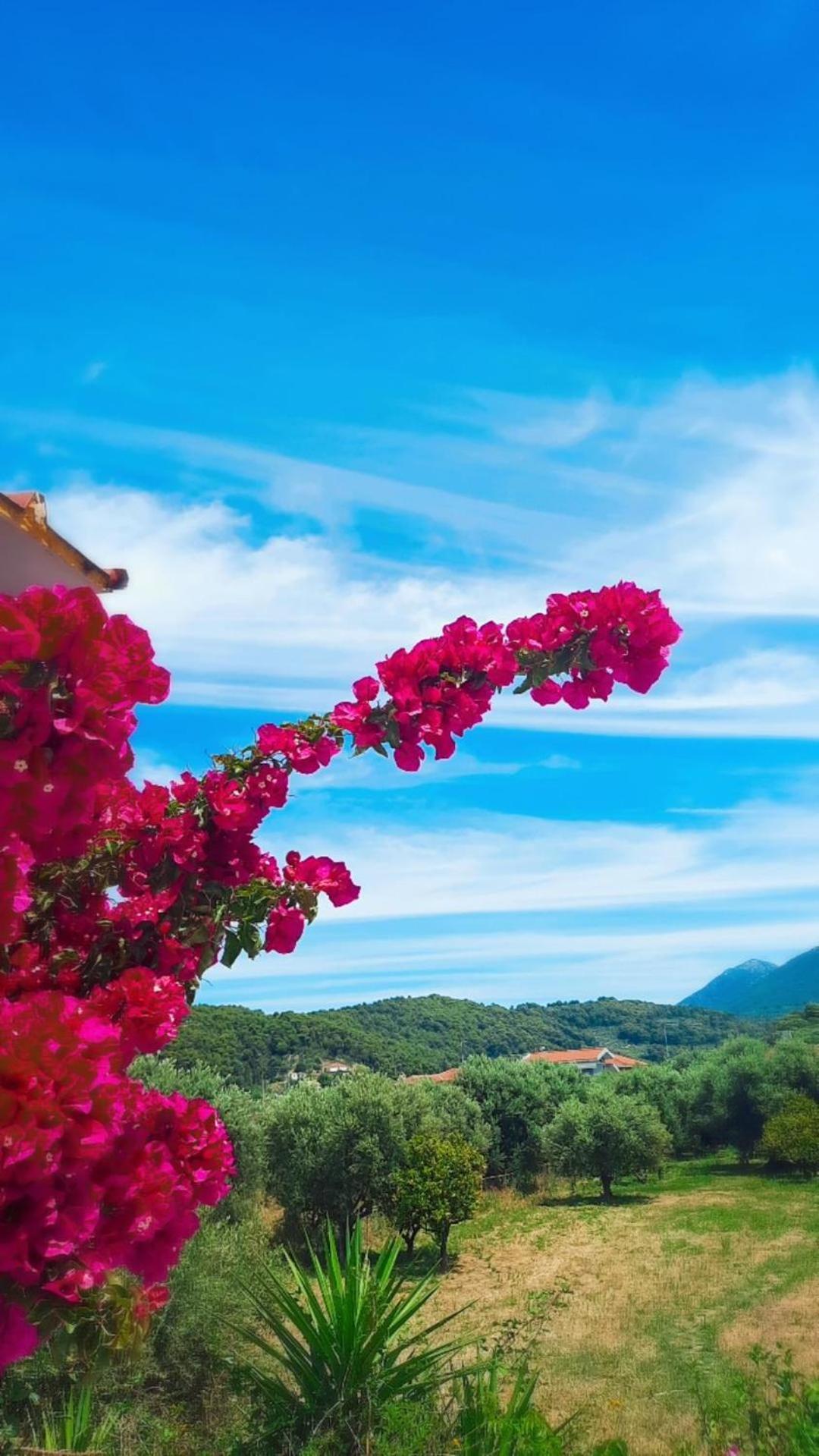 Villa Thea Κάτω Σαμικό Εξωτερικό φωτογραφία