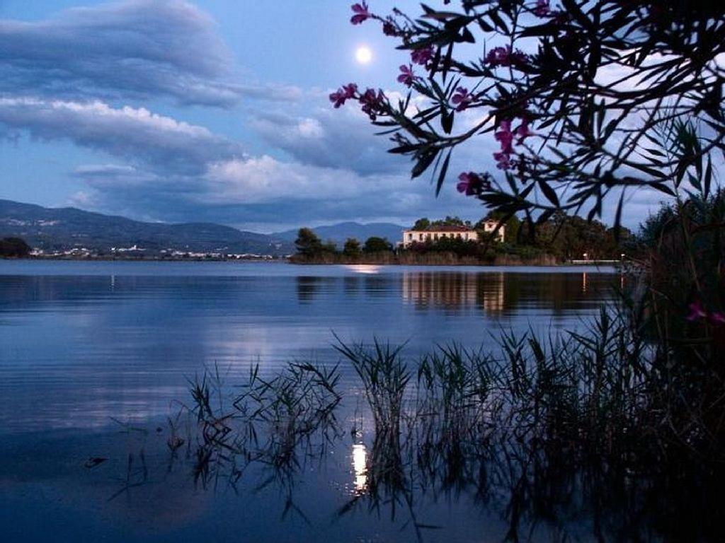 Villa Thea Κάτω Σαμικό Εξωτερικό φωτογραφία