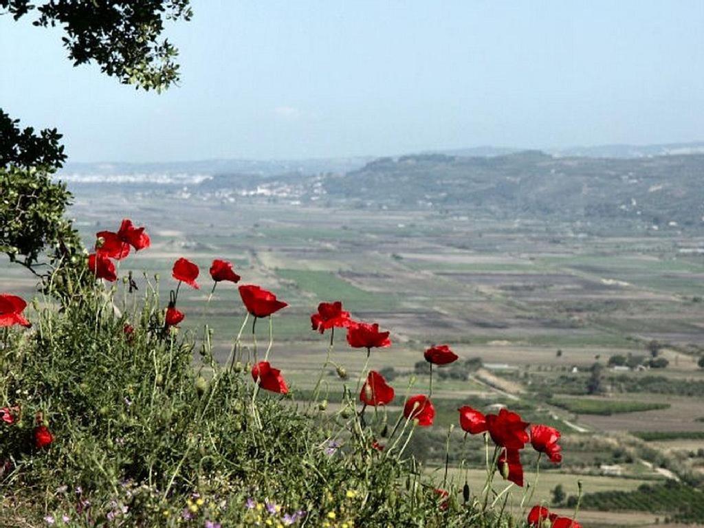 Villa Thea Κάτω Σαμικό Εξωτερικό φωτογραφία
